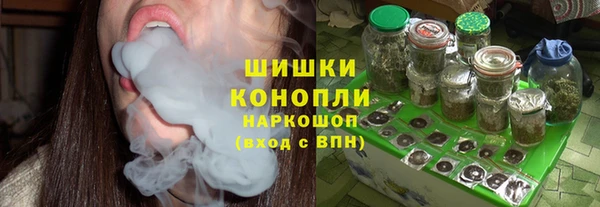 ГАЛЛЮЦИНОГЕННЫЕ ГРИБЫ Покровск
