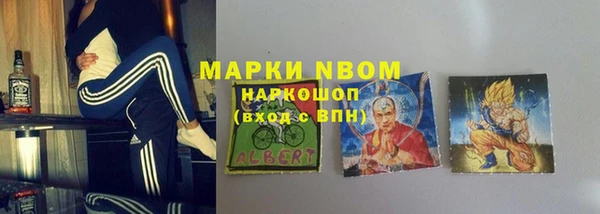 шишки Переславль-Залесский