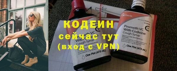 шишки Переславль-Залесский