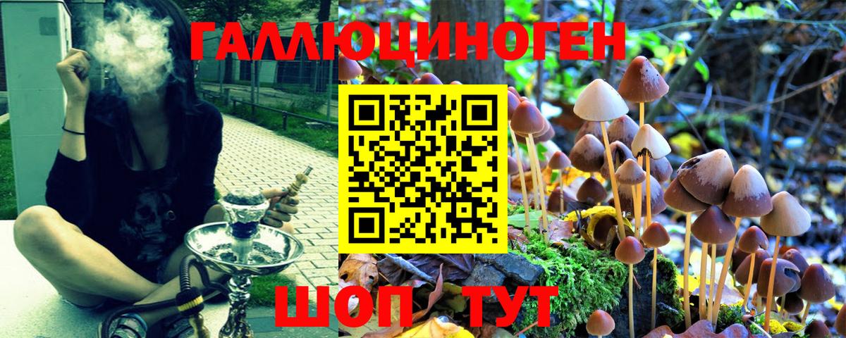 Галлюциногенные грибы прущие грибы Ишимбай
